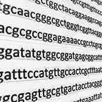 Bioinformatics