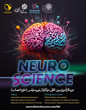 دوره کارآموزی مولکولار نوروساینس - علوم اعصاب شناختی